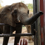 媛ちゃんの19歳のお誕生会♪　（３）
