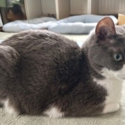 1日に2回、獣医さんへ行きました