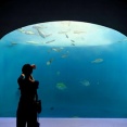 香川・四国水族館は“写真映え”スポットの宝庫！ 現地レポ