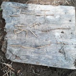 『アレンジ』の画像