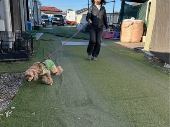 風の強いシェルター地方です。レスキューの子達のお迎えがありました。