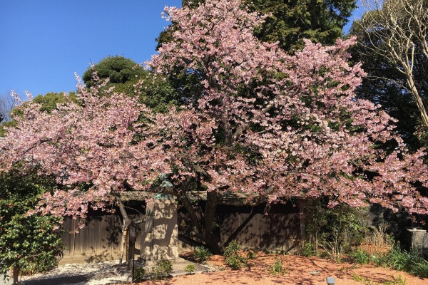 全国外国人雇用協会 Blog