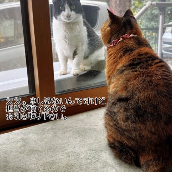 臨時対応凛さん