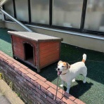 アボちゃんのアボカドブログ