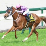 【オークス】福永調教師「ジュウリョクピエロは聖奈の勝負所やね」