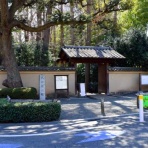 つっちゃんの絵日記