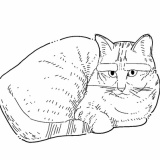 日記