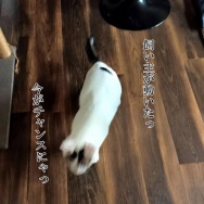 カウントダウンがはじまる。と、グリーンの翼つくりました。