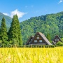 「田舎の人が想像する都会」と「都会の人が想像する田舎」の画像がグロすぎる！！ でもマジでこれなんだよな……