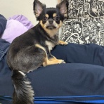 日々のくらし手帖