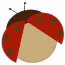 新種のテントウムシの名前