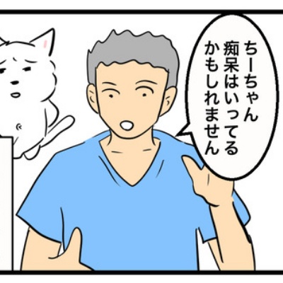 ちーちゃんです。 ちーちゃんですけどもっ第2巻発売中です❗️ (@ymc_cheezu