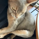 おヒゲが切れてもお毛毛薄くても、かわいいぼくちん