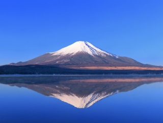 ワイ「富士山の自販機は高い」 バカ「輸送費が～人件費が～」