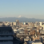 おてんば88歳・・日々録