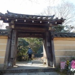 ゆるゆるサイクリング