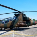 陸上自衛隊 観測ヘリ OH-1 ～目達原駐屯地創設記念行事～