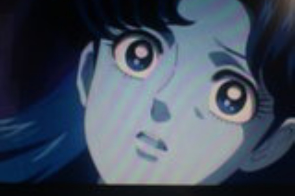 Marron 日記 漫画 アニメ