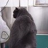���������ϡ��̤����ơ�������������