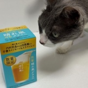 不運続きの日は幸運1つで帳消しになります～♪