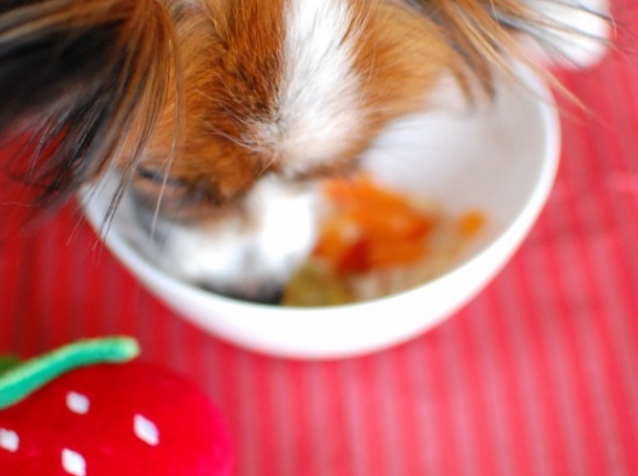 出せなかった雛人形と、お肉ほろほろ圧力鍋で犬ごはん