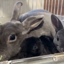 やっぱりお母さんも一緒がいい