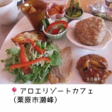 『アロエ尽くしの新体験！癒やしの「アロエリゾートカフェ」』の画像