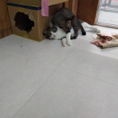 待ってられへん。