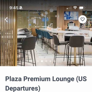 ハワイネコ ブログ