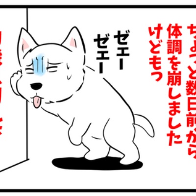 ちいちゃんです。 ちーちゃんですけどもっ第2巻発売中です❗️ (@ymc_cheezu) / Posts / X