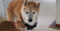 すりすり〜♪