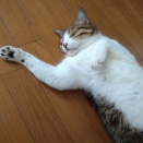 ブログ移転のお知らせ