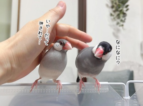 ジルたんの初チュー