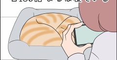 あんこ＆麦2439 まるは寝ている