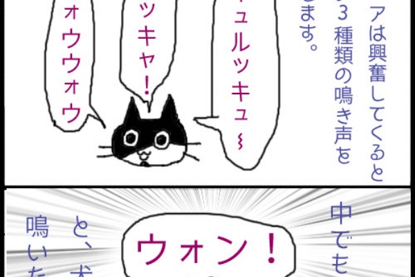 てんかん持ちで腎臓も悪いうちの猫。