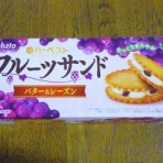 Game Company イメージキャラは赤魔道士