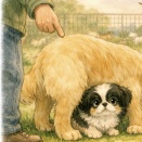 一瞬でいなくなるぷぅ