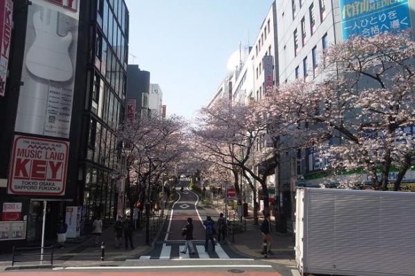 渋谷 代官山タウン情報 花見 渋谷 代官山タウン情報 花見