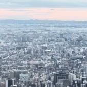 我が家は何処だ！