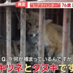 【動画】きつねとたぬき、クマ用の罠にかかる