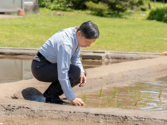 天皇陛下　恒例のお田植え