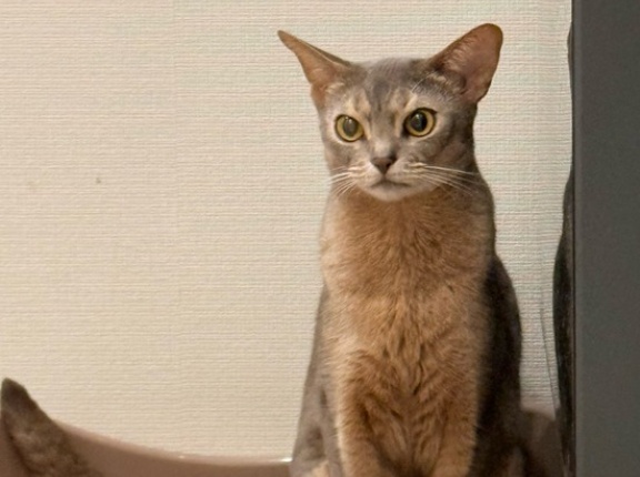 オチッコをするわか坊を、隠し撮り