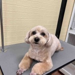 ペットショップワンラブ 名古屋守山インター総本店 スタッフブログ