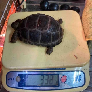 大型熱帯魚屋  ZEEBRA