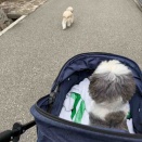 道案内