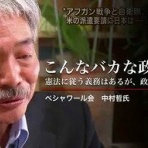 晴 天 と ら 日 和