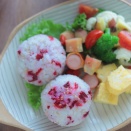 生のローゼルを塩漬けしてみたら梅干しみたいになった！