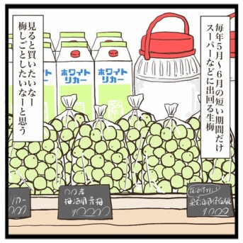 今年の梅しごと【ゆるていねいな暮らし】