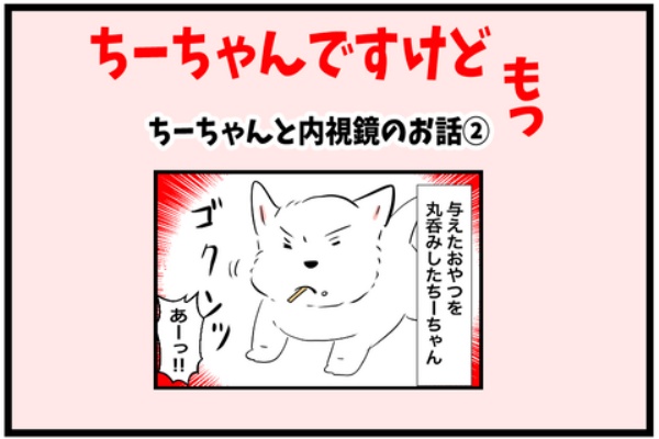 ちーちゃんっ🐾 - ちーちゃんですけどもっ