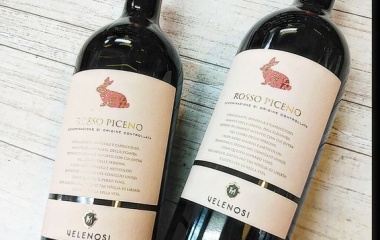 �إ��������֥磻��٤β���